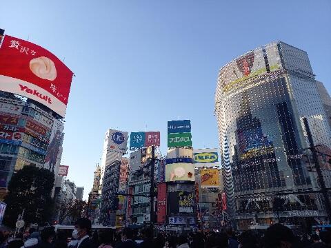 20221208_153106.jpg