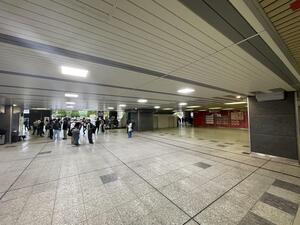 IMG_6931.jpeg