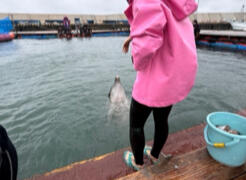 IMG_7018.jpeg