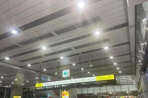 IMG_7102.jpeg