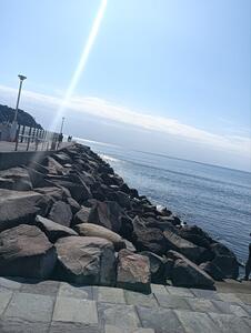 海辺 (1).jpg