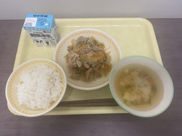 IMG_4462.jpeg