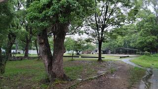 DSC_0313.JPG