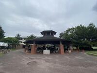IMG_3815.jpeg