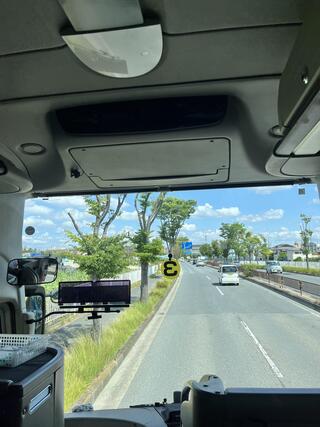IMG_7977.jpeg