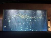 IMG_7991.jpeg