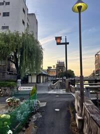 IMG_7996.jpeg