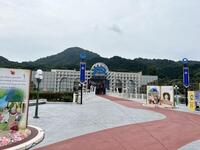 IMG_8004.jpeg