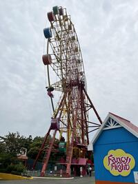 IMG_8005.jpeg
