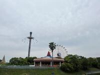 IMG_8006.jpeg