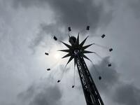 IMG_8008.jpeg