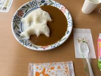 IMG_1239.jpeg