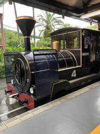 IMG_3163.jpeg
