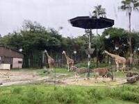 IMG_3165.jpeg