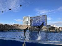 IMG_3210.jpeg