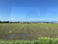 IMG_3224.jpeg