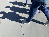 IMG_3239.jpeg