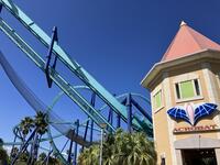 IMG_3242.jpeg