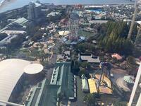 IMG_3249.jpeg
