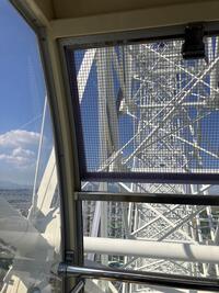 IMG_3251.jpeg