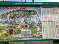 IMG_3266.jpeg