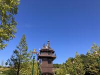 IMG_3279.jpeg