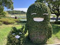 IMG_3281.jpeg