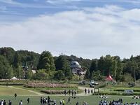 IMG_3291.jpeg