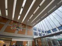 IMG_4150.jpeg