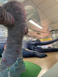 IMG_4155.jpeg