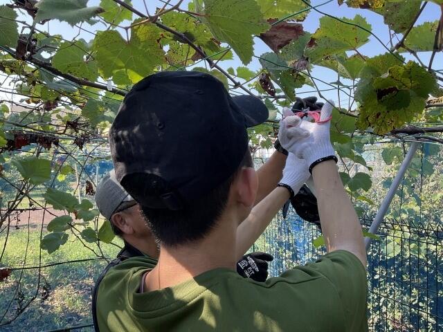 https://www.osaka-c.ed.jp/blog/nishiura-s/koutoubu/004.jpg