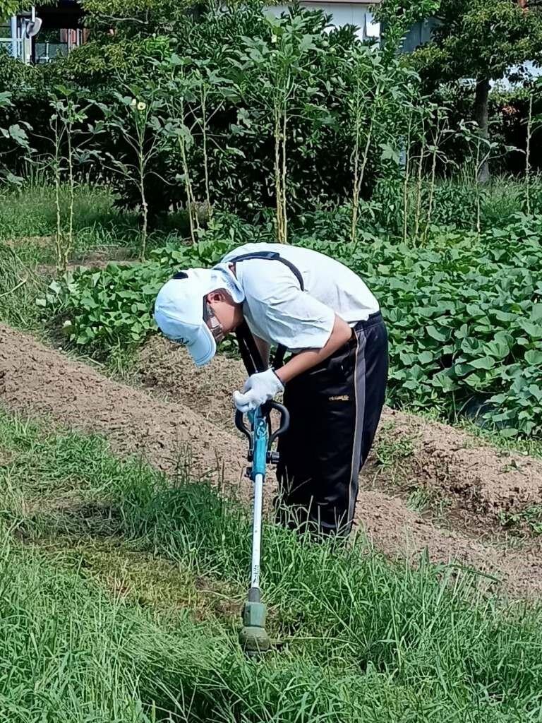 https://www.osaka-c.ed.jp/blog/nishiura-s/koutoubu/110.jpg