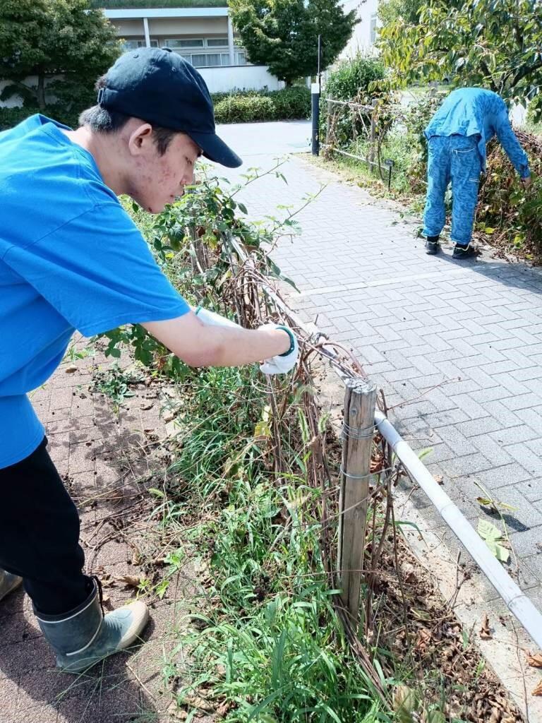 https://www.osaka-c.ed.jp/blog/nishiura-s/koutoubu/111.jpg
