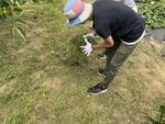 s-IMG_0229.jpg