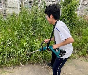 電動草刈機.jpg