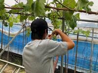 s-IMG_0926.jpg