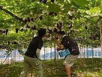 s-IMG_1016.jpg