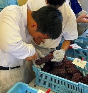 s-IMG_1113.jpg