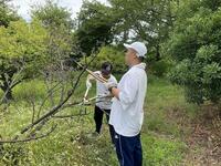 s-IMG_1124.jpg