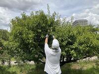 s-IMG_1134.jpg