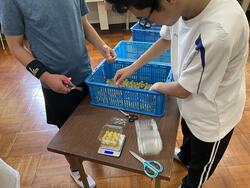 s-IMG_1317.jpg