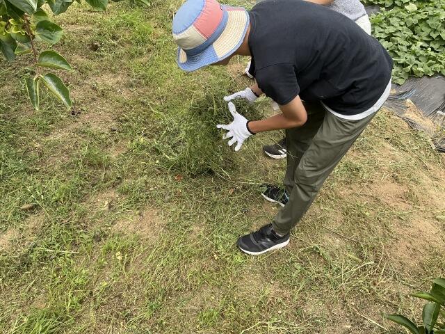 https://www.osaka-c.ed.jp/blog/nishiura-s/koutoubu/s-IMG_0229.jpg