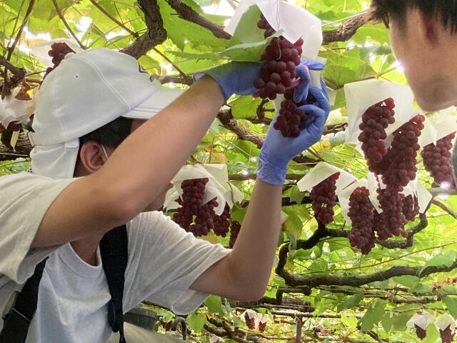 https://www.osaka-c.ed.jp/blog/nishiura-s/koutoubu/s-IMG_1774.jpg