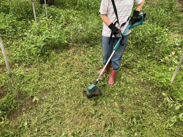 https://www.osaka-c.ed.jp/blog/nishiura-s/koutoubu/s-s-IMG_0326.jpg