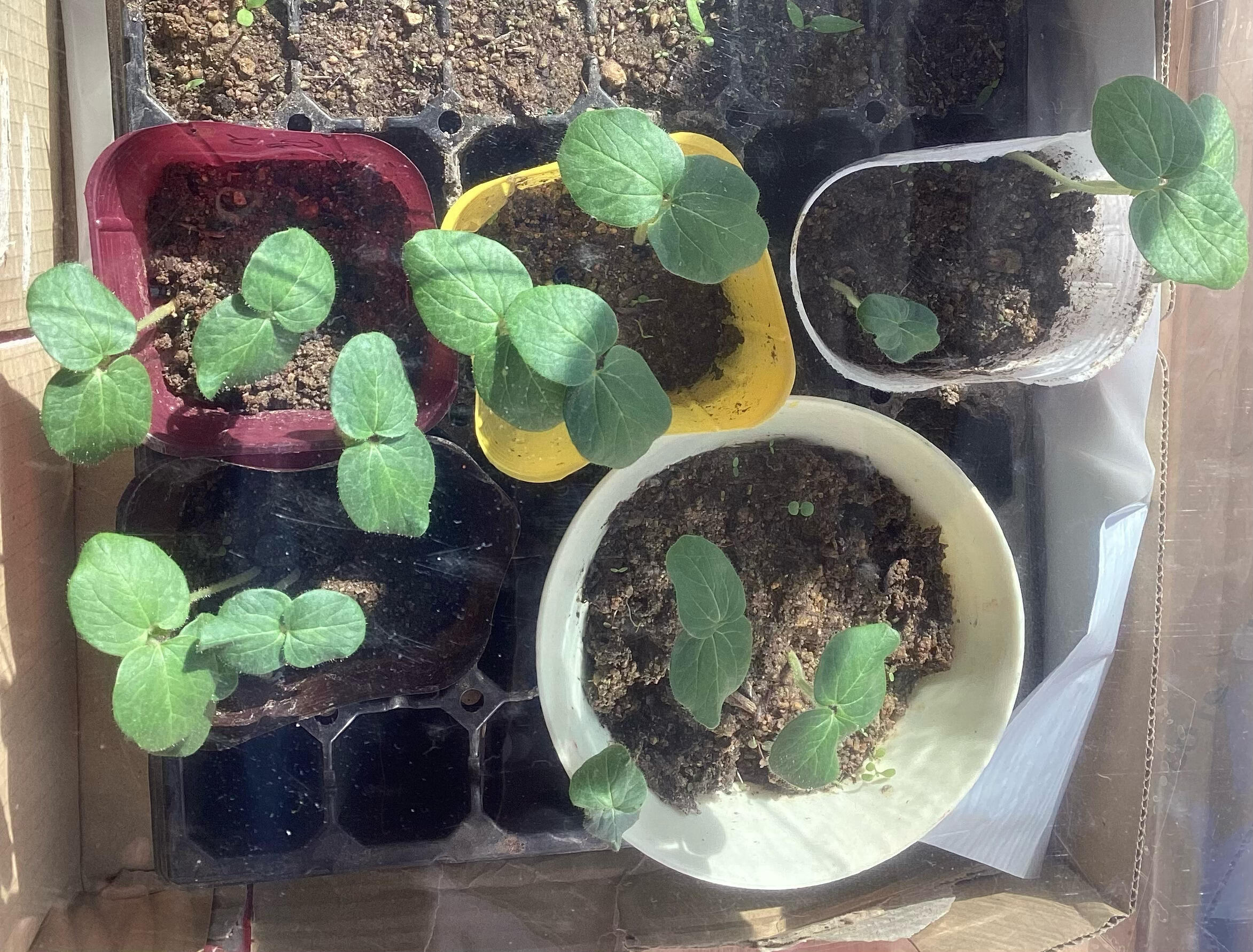 https://www.osaka-c.ed.jp/blog/nishiyodogawa-s/t/IMG_2.jpg