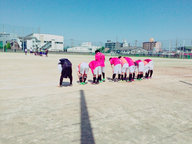 IMG_3015_s.jpg