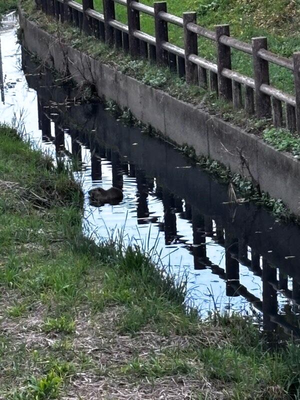 2025-12-02 14-47-51.JPG