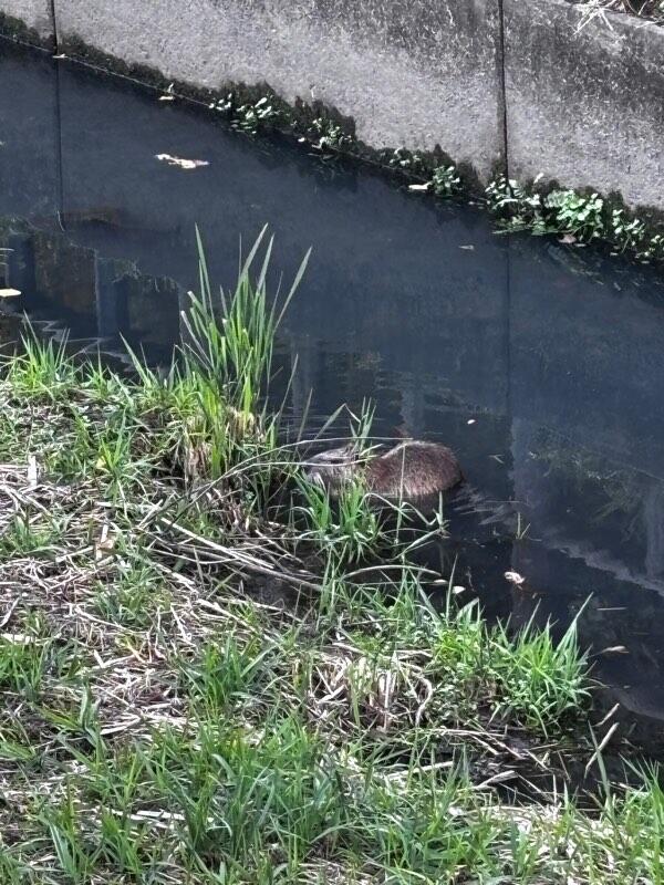 2025-12-04 22-47-55.JPG