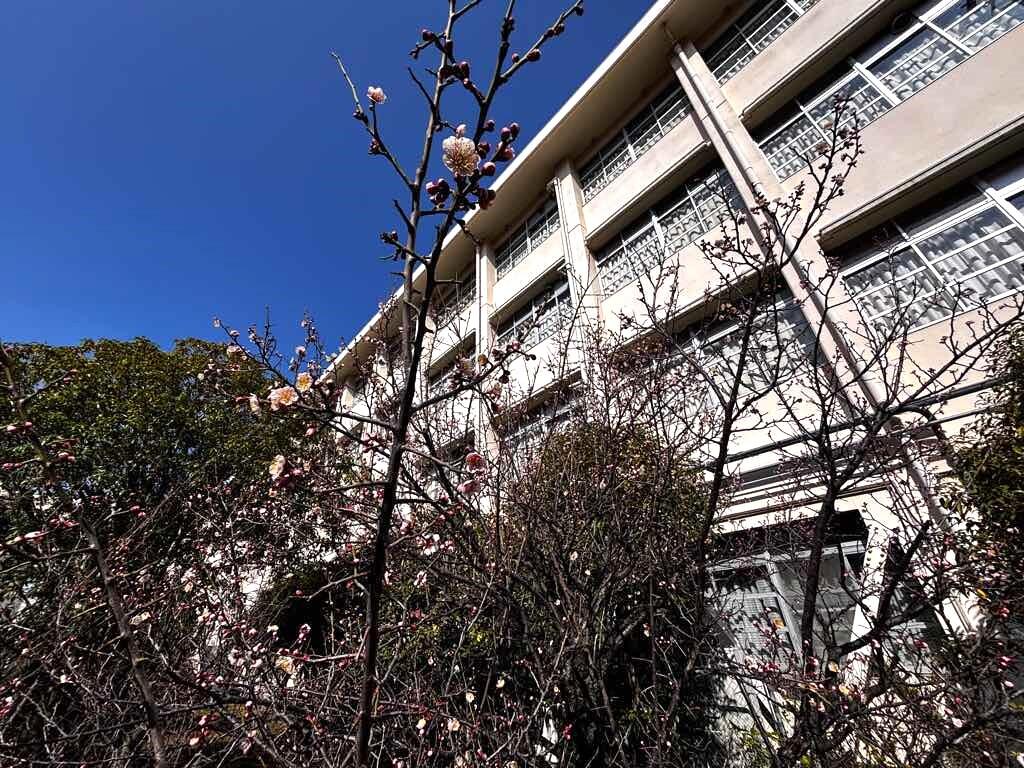 2026-02-13 12-27-46.JPG