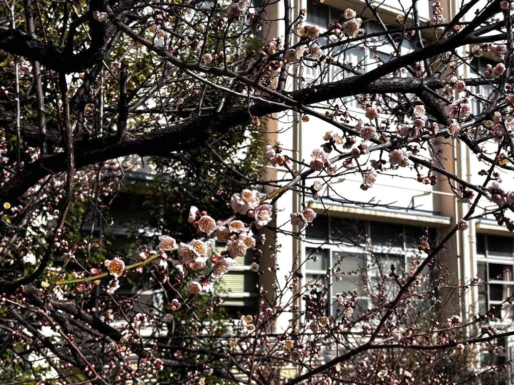 2026-02-13 12-28-59.JPG